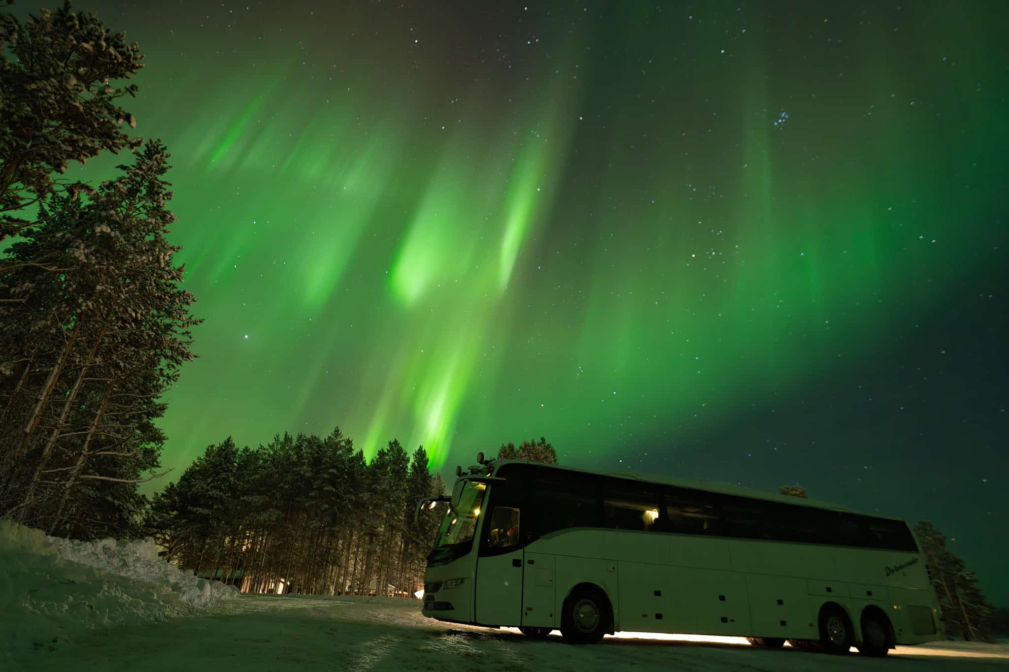 Northern Lights Forecast Norway: How to Read It Like a Local Guide - Experience Tromsø Like a Local How to Read the Northern Lights Forecast in Norway