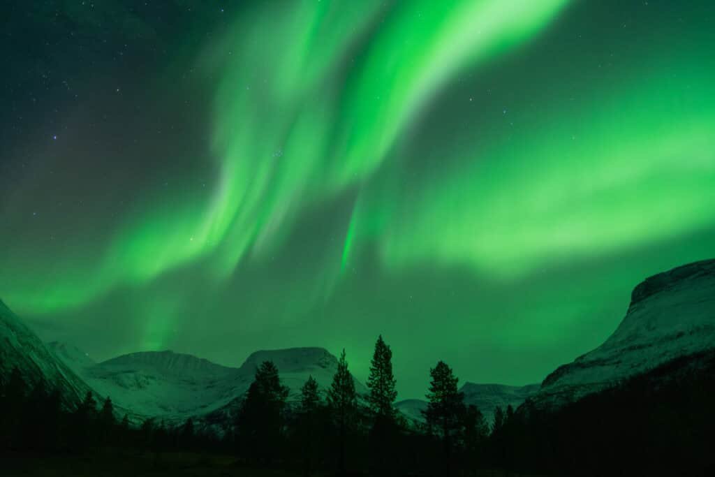 Home - Experience Tromsø Like a Local Aurora borealis over mountains and forest near Tromsø