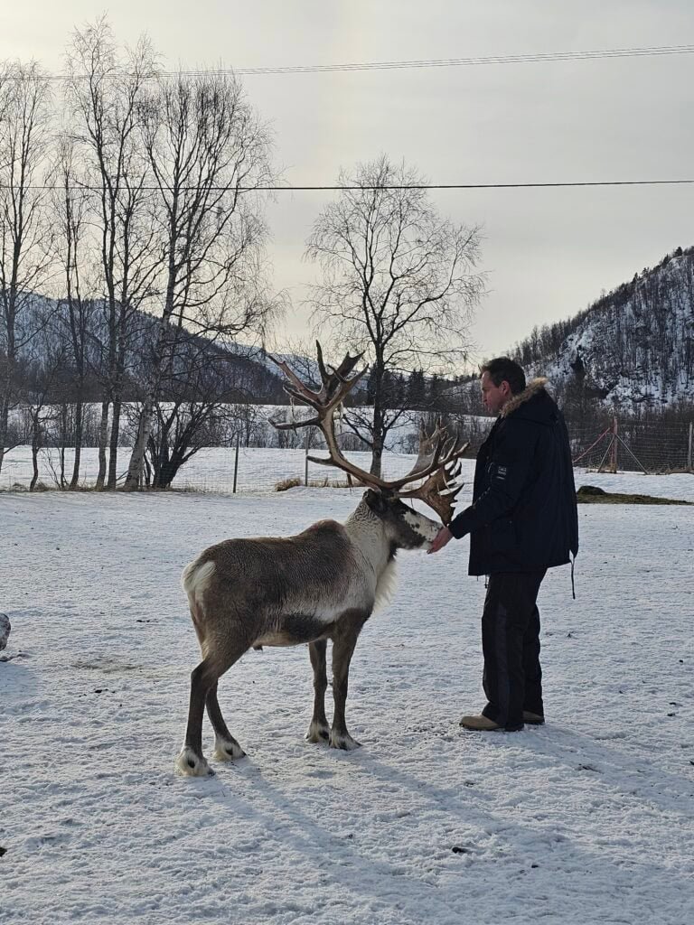 Book Tours & Activities in Tromsø - Experience Tromsø Like a Local Man petting reindeer in snowy landscape in Tromsø, Norway.