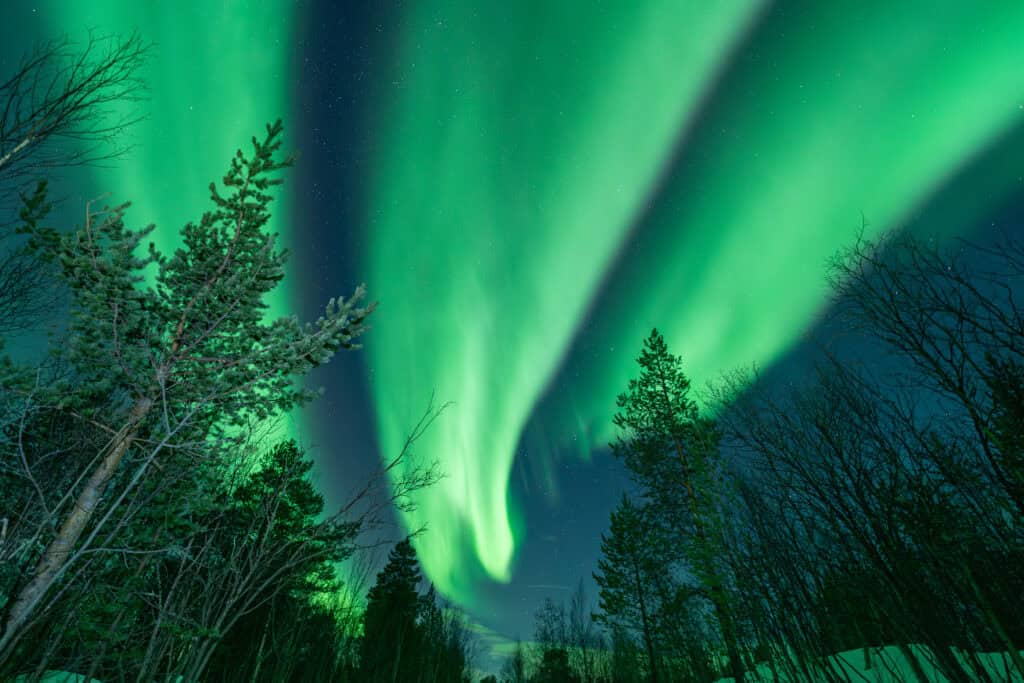 特罗姆瑟旅游 | 北极光、峡湾与北极体验 | Hello Tromsø - Hello Tromsø