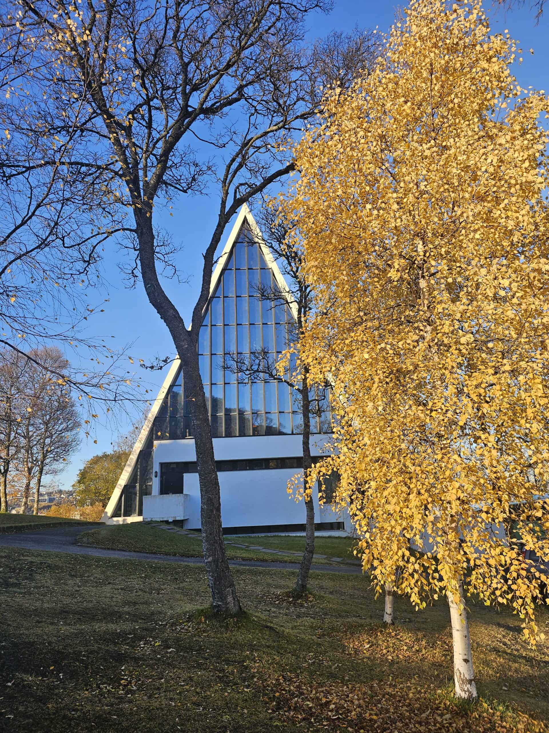 Contemporary building with autumn trees in Tromsø during fall.