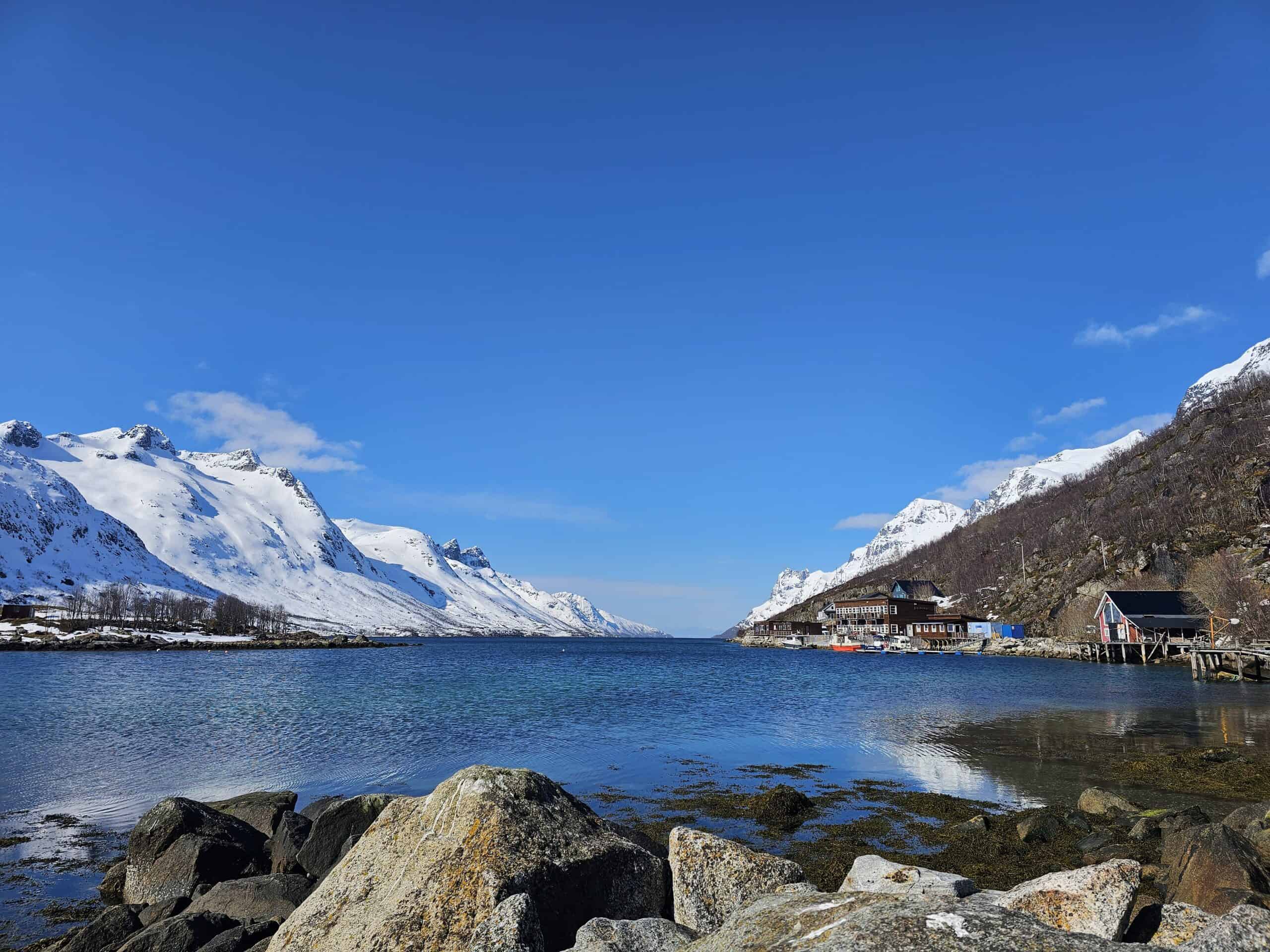 Best Tromsø Summer Tours for Every Traveller