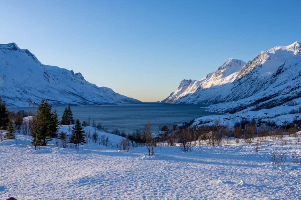 Book Tours & Activities in Tromsø - Experience Tromsø Like a Local Snow-covered mountains and fjord in Tromsø during winter daylight.