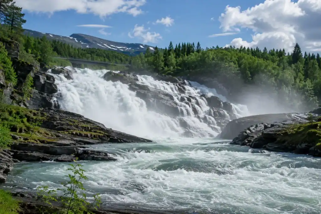 Book Tours & Activities in Tromsø - Experience Tromsø Like a Local Scenic view of Målselvfossen waterfall with lush green trees and mountains.